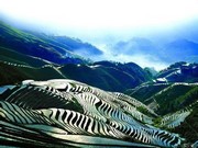 ヤオ族の棚田の風景